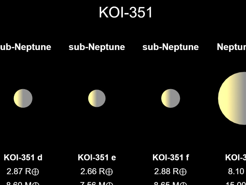 Portfolio Item Image