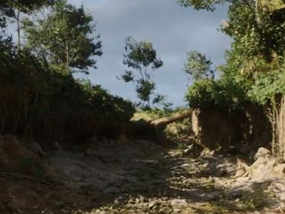 Portfolio Item Image